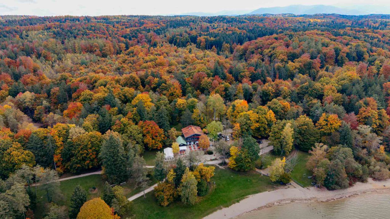 Drohnenaufnahme im Oktober am Starnberger See von der Hochzeitslocation Buchscharner Seewirt alles ist in Herbsttöne gehüllt