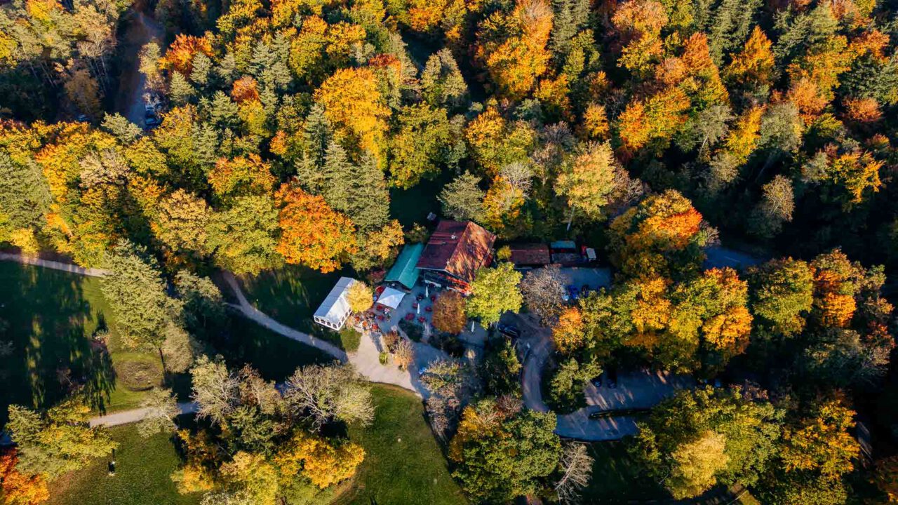 Drohnenaufnahme Draufsicht vom Buchscharner Seewirt